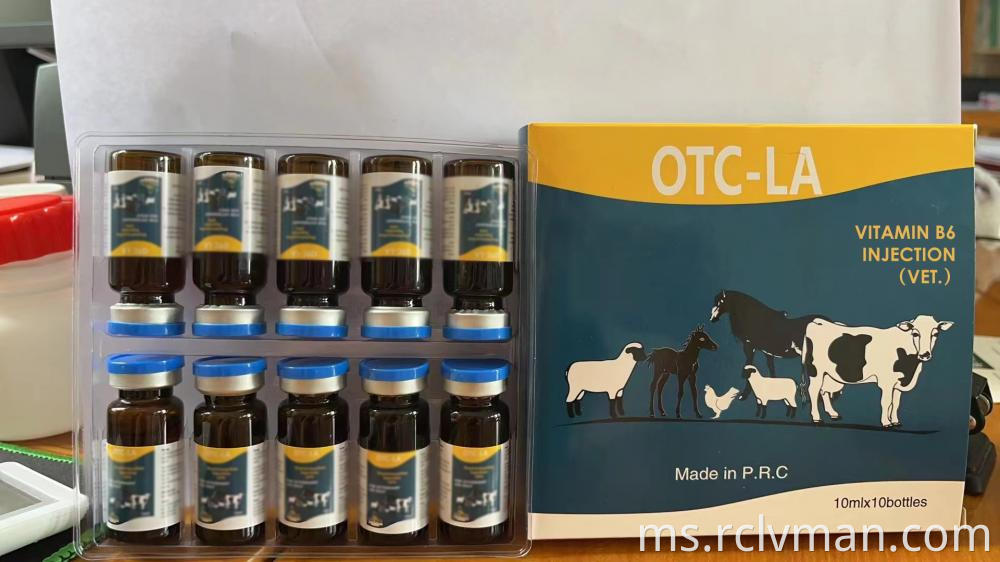 Suntikan vitamin B6 2 Vitamin B6 Injection 2